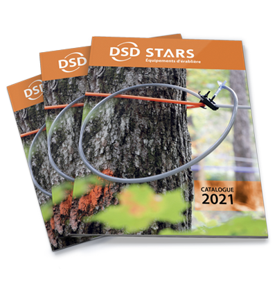 CATALOGUE DSD STARS 2021