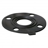 SEAL EPDM FOR FLANGE 1" 150 LBS ANSI